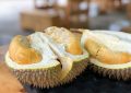 Durian