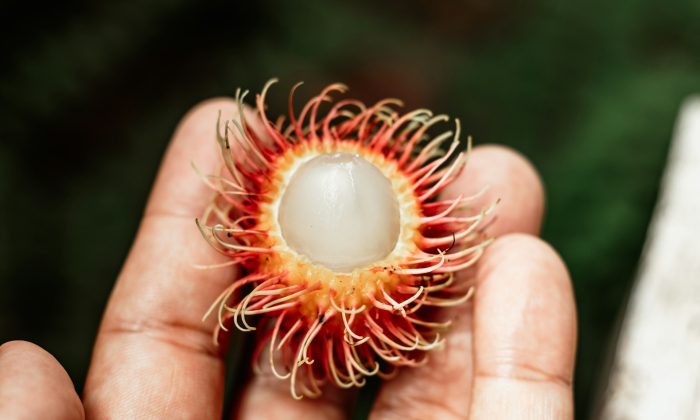 Rambutan