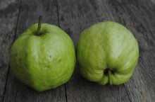 guava